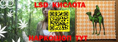 МДПВ Кингисепп