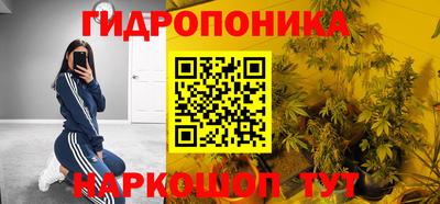 МДПВ Кингисепп