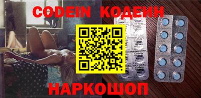 МДПВ Кингисепп