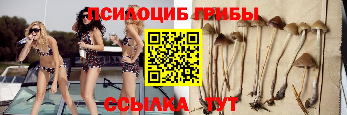 Кировск  Псилоцибиновые грибы GOLDEN TEACHER  Вход с VPN 