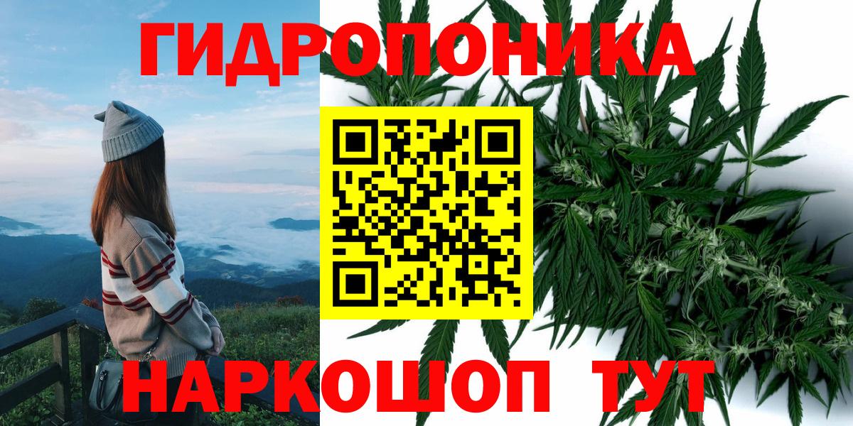 Бошки Шишки OG Kush  МАРИХУАНА ГИДРОПОН  Вход с VPN  Канабис ГИДРОПОН  Кировск  Каннабис ГИДРОПОН 